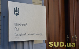 Имеет ли право выступать в судебных дебатах лицо, в отношении которого решается вопрос о применении принудительных мер медицинского характера — постановление КУС ВС