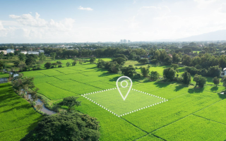 Апелляция вернула землю, проданную без аукциона: участок был почти в 200 раз больше недвижимости, расположенной на нем