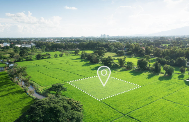 Апелляция вернула землю, проданную без аукциона: участок был почти в 200 раз больше недвижимости, расположенной на нем