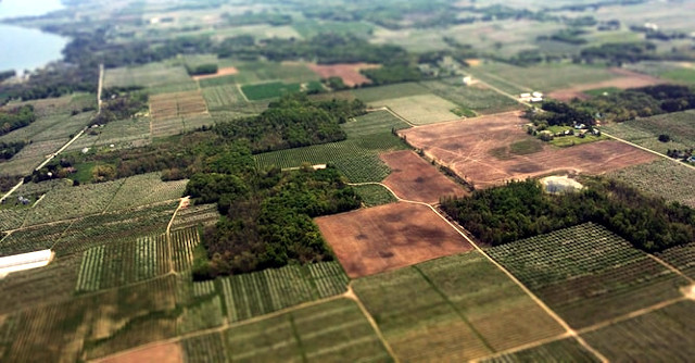 Майстерня на 0,5% ділянки: суд визнав незаконним продаж землі, що у 198 разів більша за будівлю на ній