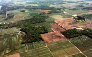 Мастерская на 0,5% участка: суд признал незаконной продажу земли, которая в 198 раз превышает площадь здания на ней