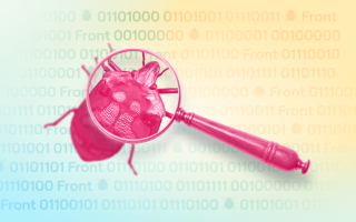 Как получить вознаграждение за найденный баг в гос­системе: Кабмин прописал правила