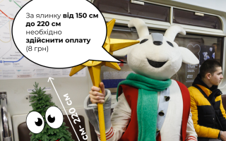 Як безпечно та без інцидентів перевезти новорічну ялинку у Києві в метро – поради пасажирам