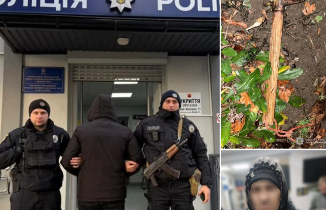 На Львівщині затримали чоловіка, який вдарив військового ТЦК у груди кухонним молотком