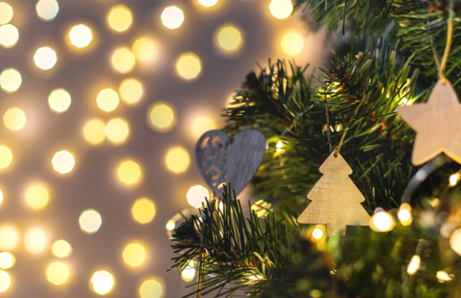 Новорічний бум: скільки коштують живі та штучні ялинки і де зараз найнижчі ціни