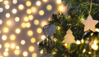 Новогодний бум: сколько стоят живые и искусственные елки и где сейчас самые низкие цены