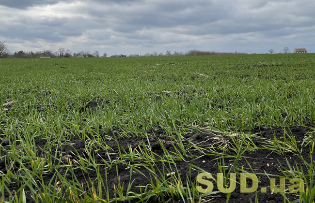 Апелляция не помогла: отец не оформил землю — сын не может унаследовать участки