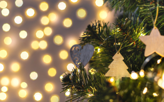 Новогодний бум: сколько стоят живые и искусственные елки и где сейчас самые низкие цены