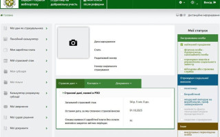 Пенсионеры должны пройти идентификацию до 31 декабря, чтобы не потерять выплаты: пошаговая инструкция