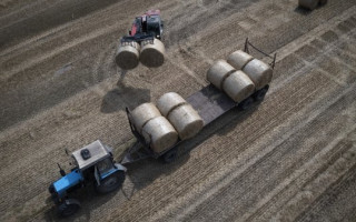 На Крите арестованы 16 человек за мошенничество с аграрными субсидиями ЕС