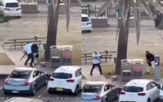 В Австралии произошел теракт на пляже, где праздновали Хануку: прохожий голыми руками обезвредил одного из нападавших, видео