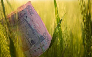 Фермери отримають дотації, кредити та гранти – деталі Держбюджету-2026 для АПК