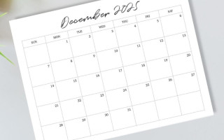 Казначейство назвало останні дні проведення бюджетних платежів у 2025 році