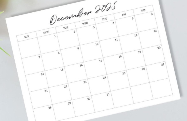 Казначейство назвало останні дні проведення бюджетних платежів у 2025 році