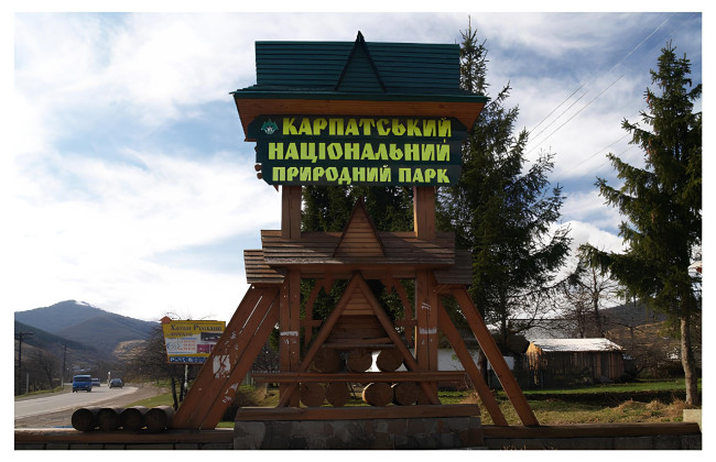 Земельный налог и леса: Верховный Суд расчистил дебри спора между Карпатским нацпарком и налоговиками