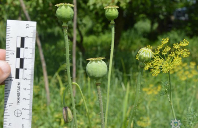 Мак ріс сам: Верховний Суд розкритикував спрощений розгляд кримінальної справи