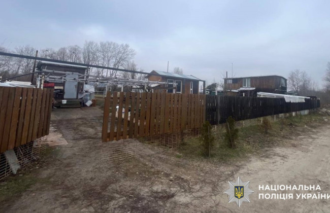 У Києві судитимуть чоловіка, який самовільно зайняв землю поблизу озера Алмазне та збудував на ній будинок