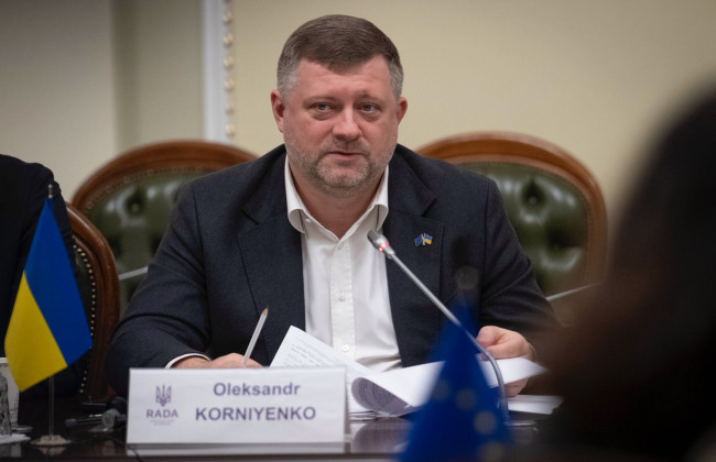 В Верховной Раде создадут рабочую группу по вопросам выборов и референдума — Корниенко