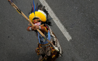 Верховний суд Бразилії вдруге скасував обмеження на права корінних народів на землю