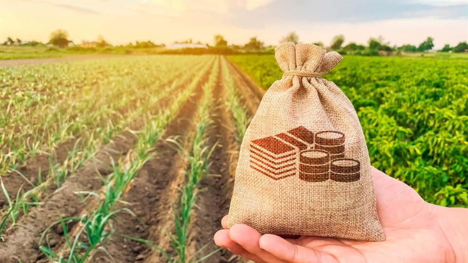 Виховуєте трьох і більше дітей — маєте право на пільги зі сплати земельного податку