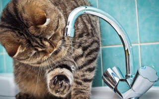 Відключення води: що потрібно мати вдома і як підготуватися