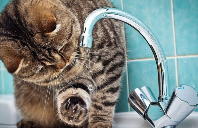 Відключення води: що потрібно мати вдома і як підготуватися