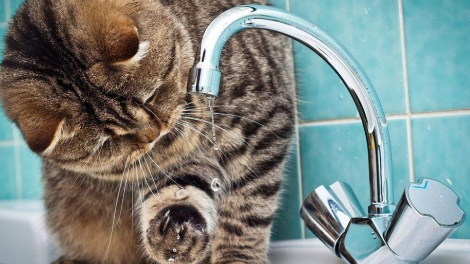 Отключение воды: что нужно иметь дома и как подготовиться