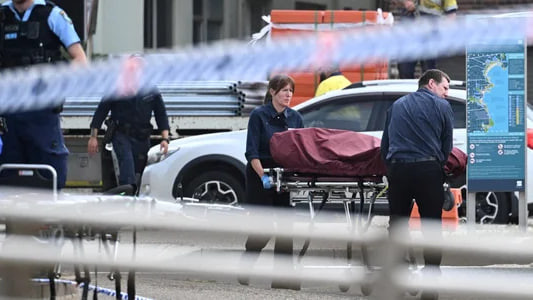 Премьер Австралии объявил о проверке полиции и разведки после стрельбы на пляже в Сиднее, где погибли 15 человек