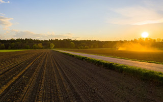 Оренда державних сільгоспземель: з 1 січня діятиме нова податкова декларація