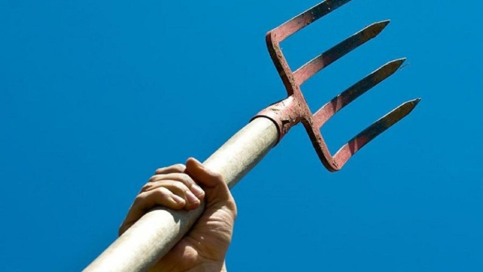 В Ровенской области мужчина заколол вилами собаку, потому что она съела его домашнюю птицу и вытащила кролика из клетки – что решил суд