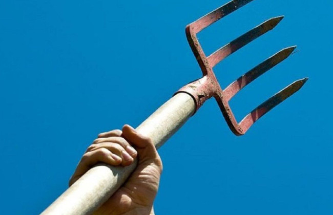 На Рівненщині чоловік заколов вилами собаку, бо та поїла його домашню птицю та витягла кроля з клітки – що вирішив суд