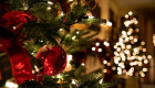 Как сохранить запах свежей елки без ароматизаторов — советы к праздникам