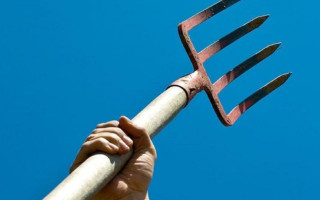 На Рівненщині чоловік заколов вилами собаку, бо та поїла його домашню птицю та витягла кроля з клітки – що вирішив суд