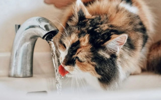 Кабмин обратился к НКРЕКП с просьбой отсрочить запланированные изменения тарифов на воду