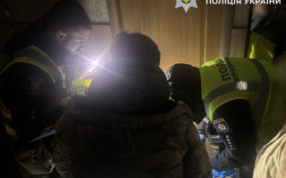 Напад вовка в київській квартирі: у помешканні на Оболоні також знайшли лисицю