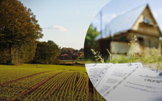 Не перша заява вирішує: Верховний Суд уточнив, хто має перевагу при безоплатній приватизації землі