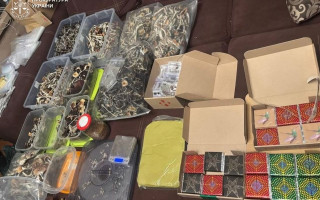 У Києві викрили продаж шоколаду з психотропними грибами