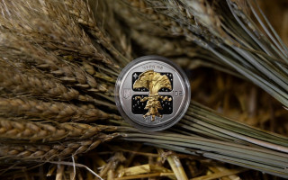 НБУ презентовал к Рождеству новую монету номиналом 10 гривен — как выглядит, фото