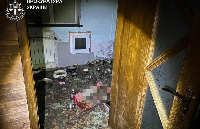 Брала котів «на перетримку» – взяли під варту жительку Київщини за загибель понад пів сотні тварин