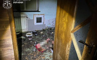 Брала котів «на перетримку» – взяли під варту жительку Київщини за загибель понад пів сотні тварин