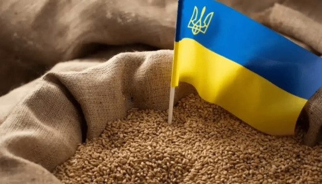 Украинские экспортеры получили 1,5 млн сертификатов EUR.1 для беспошлинного экспорта
