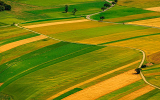 Встановлення земельного сервітуту для користування надрами: ключові умови та підхід Верховного Суду