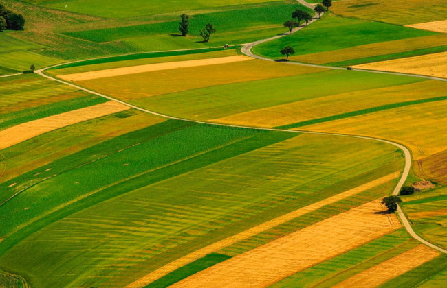 Встановлення земельного сервітуту для користування надрами: ключові умови та підхід Верховного Суду