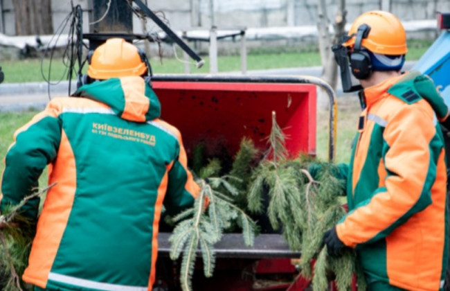 У Києві запрацюють 72 пункти прийому новорічних ялинок — перелік адрес