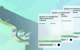 Более полумиллиона разрешений на оружие за 10 месяцев – как сгенерировать документ в «Дии»