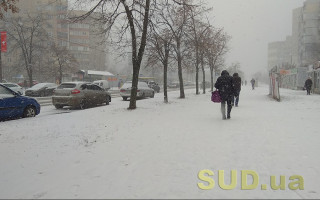 В Киеве ожидаются сильные порывы ветра и гололедица — полиция дала советы водителям и пешеходам