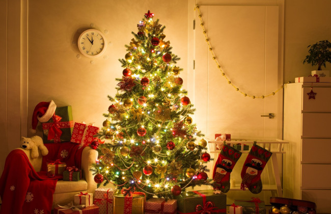 Спрос на новогодние елки в Украине уменьшился на 11%