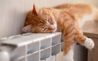 Как рационально пользоваться отоплением, когда дома никого нет: советы по безопасности и экономии