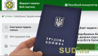 Возможно ли, проживая за границей, приобретать страховой стаж в Украине — разъяснение ПФ