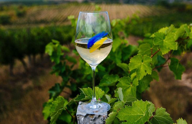 Вино по-европейски: какие новые требования для виноделов заработают в Украине с 2026 года